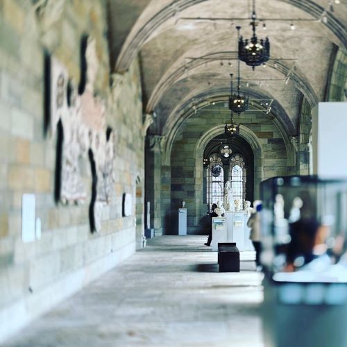 Museum Day (at Yale University Art Gallery)
https://www.instagram.com/p/CqLvR3hvxfL/?igshid=NGJjMDIxMWI=